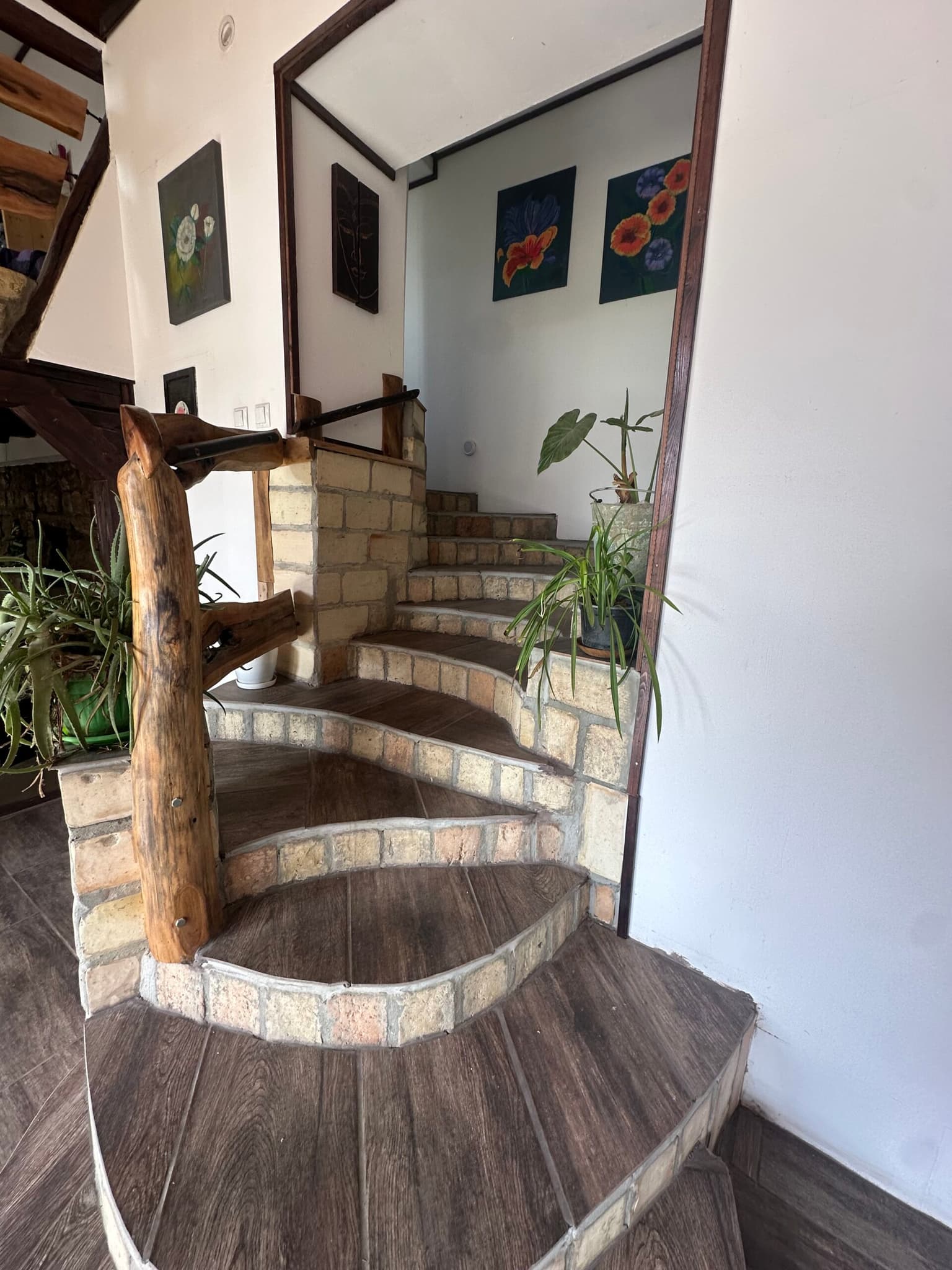 Springbok House - Palamartsa - thumbnail 16