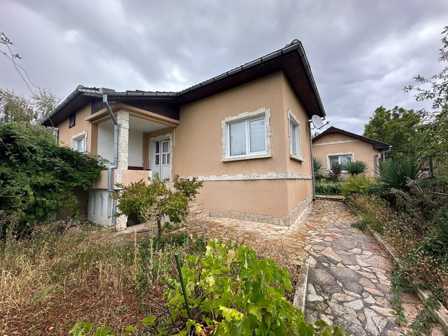 Palm House – Mogilino in Mogilino