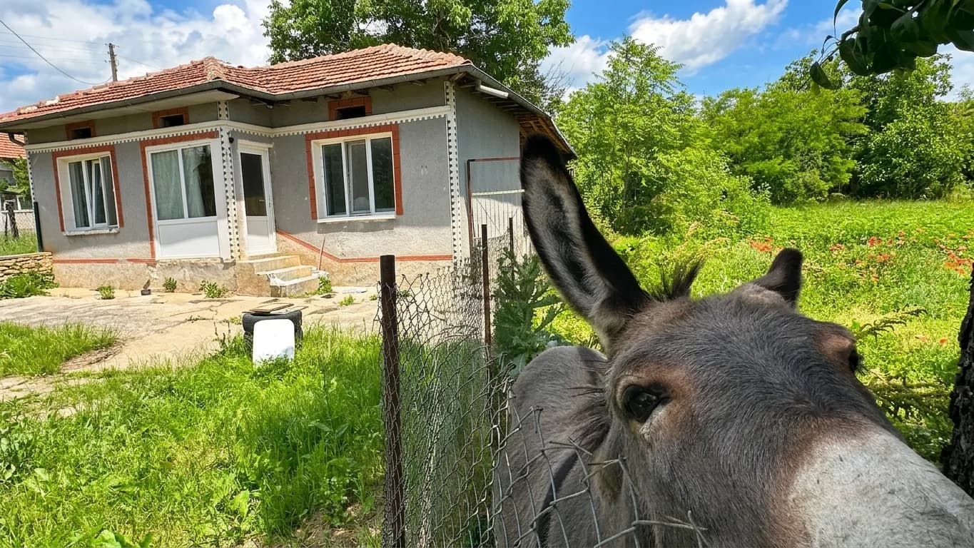 Ass House - Obedinenie in Obedinenie , 1 bedroom property